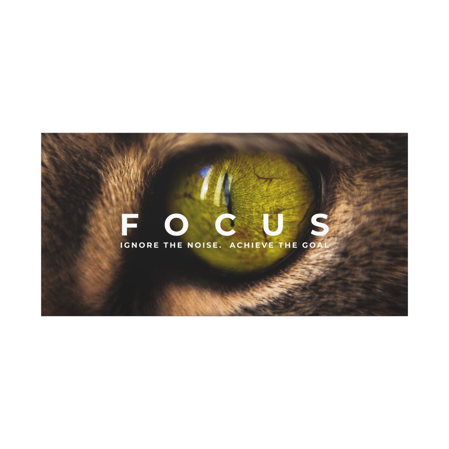 Focus