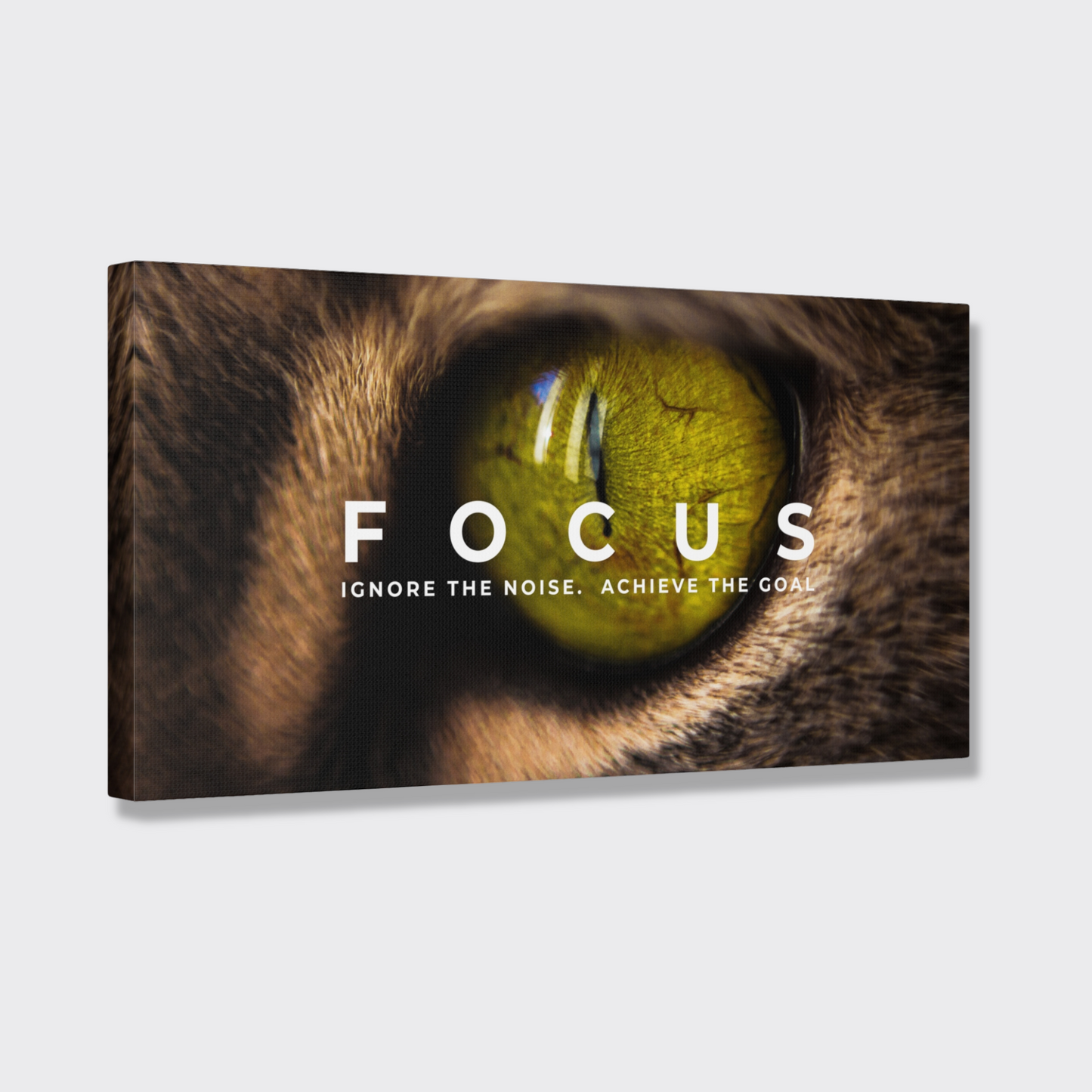 Focus