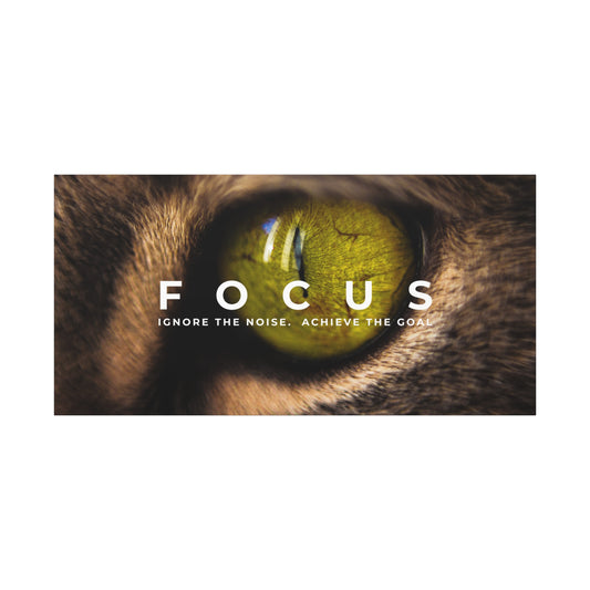 Focus